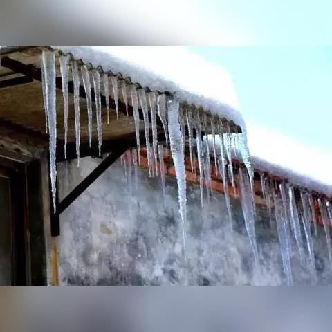 【哈尔滨今日天气预报】2025年5月17日哈尔滨天气情况