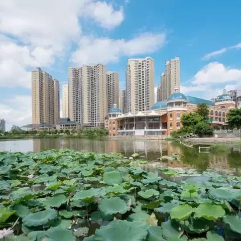 桂林市的哪个楼盘最好呢