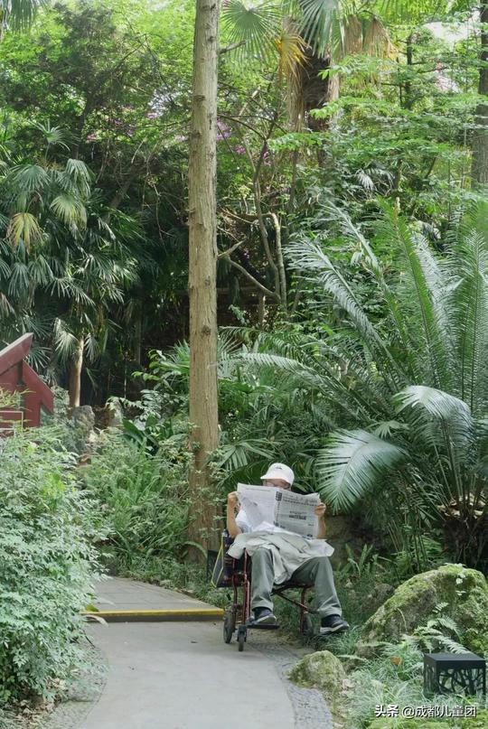 周末去哪儿丨市区里的老公园，没想到变化这么大