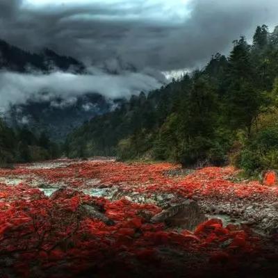 盘点在上海怎么去稻城亚丁山相关关键词有哪些