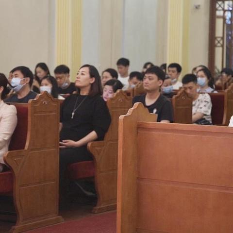 哈尔滨买龙猫相关长尾关键词有哪些