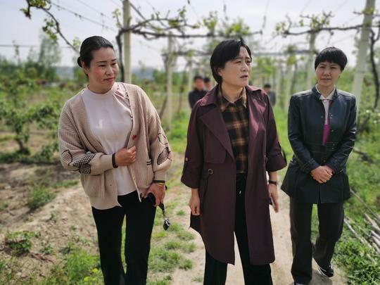 淮北市妇联督查省妇女创业扶持转移支付资金项目