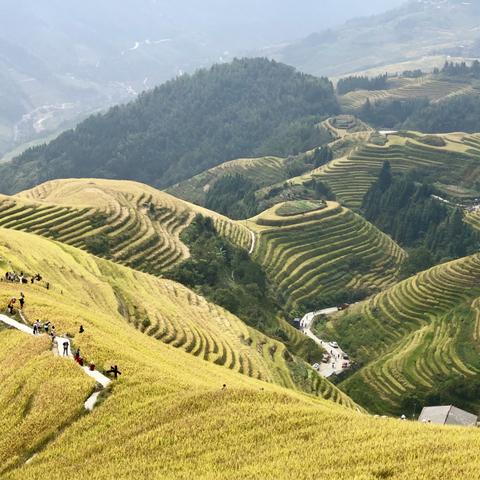 深圳坐高铁去桂林相关长尾关键词有哪些