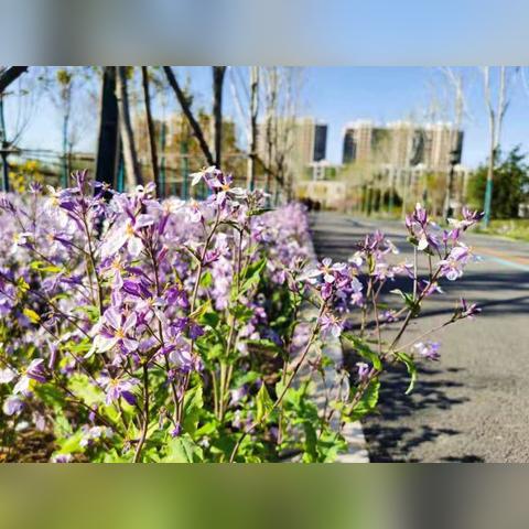 石家庄市第四医院 人流的长尾关键词有哪些