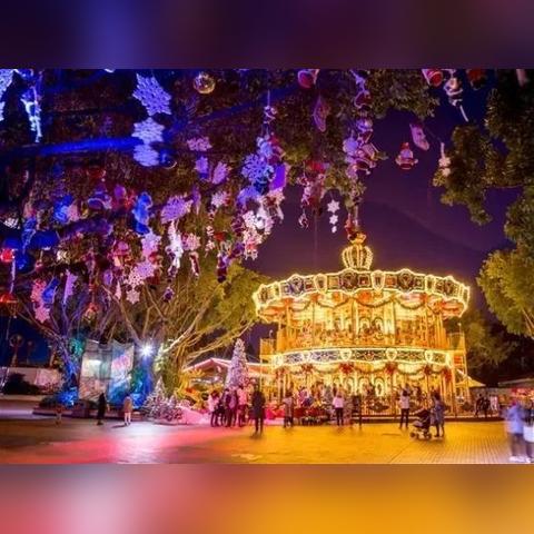 济南市圆博园在哪里