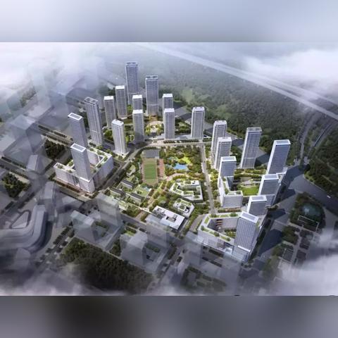 杭州市九环路是什么区
