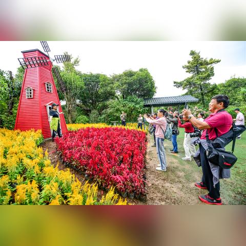 桂林市滨江农庄在哪里