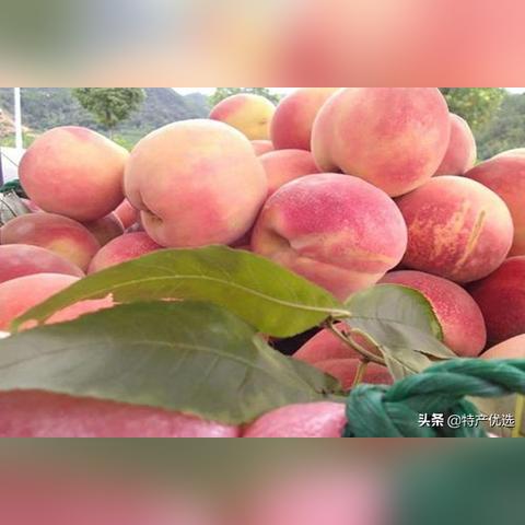 福建省土质的相关长尾关键词有哪些