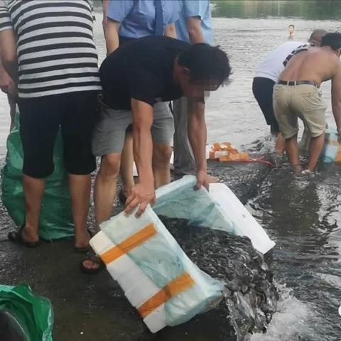 桂林漓江南州岛相关长尾关键词有哪些