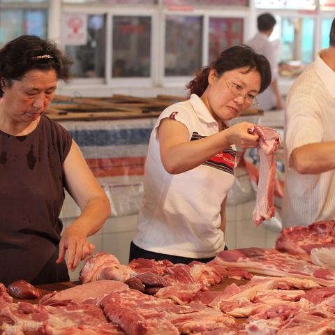 温州市养猪厂的长尾关键词有哪些