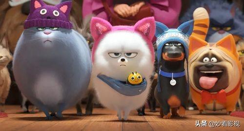 How Long is Secret Life of Pets? - A Comprehensive Guide to the Movie's Duration and More!