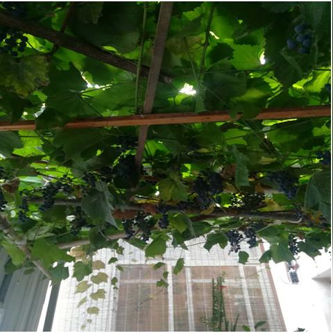 温州市奋力的长尾关键词有什么