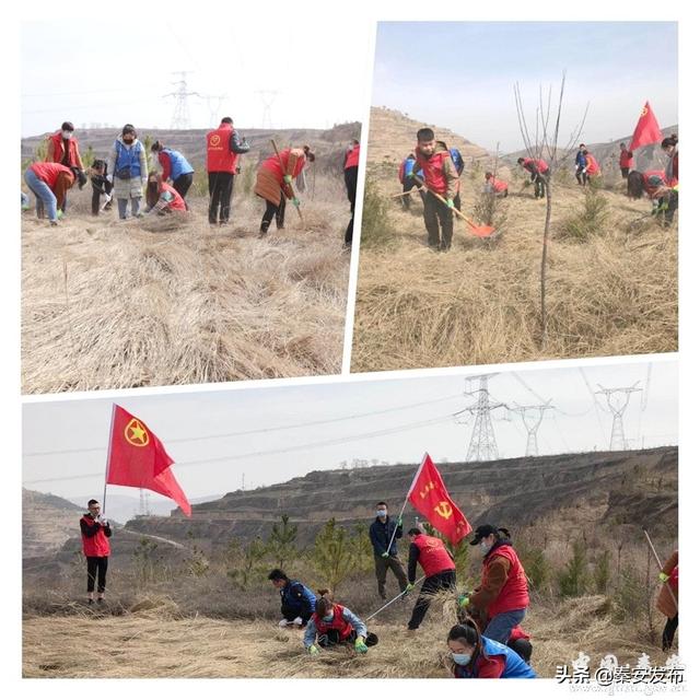 幼儿园植树节活动方案2019