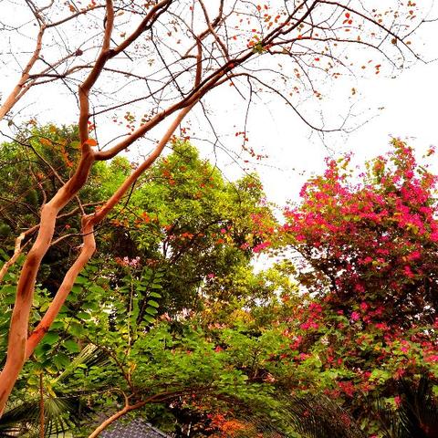 【桂林今日黄金价格】2025年9月27日桂林黄金价格是多少