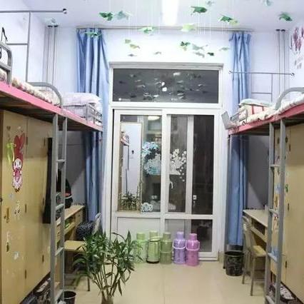 河南大学新闻怎么样