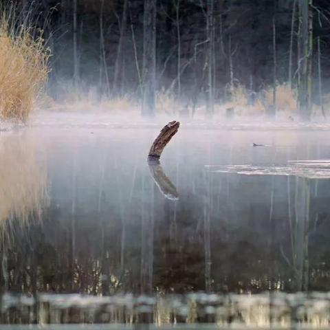 从哈尔滨怎么去雾凇岛相关长尾关键词有哪些