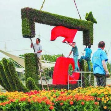 合肥 花展相关长尾关键词有哪些