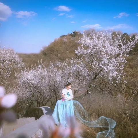 桃之夭夭灼灼其华什么意思