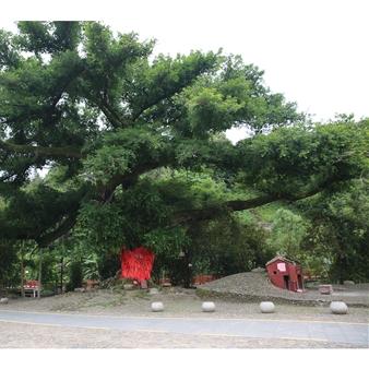 龙岩位于福建的哪个方位位置？