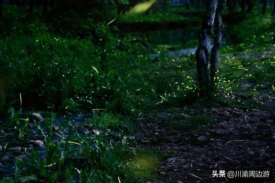 四川私藏的“小牛背山”，夏天平均20度，不要门票却很少有人知道
