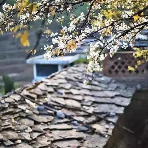 河南最冷是哪个节气