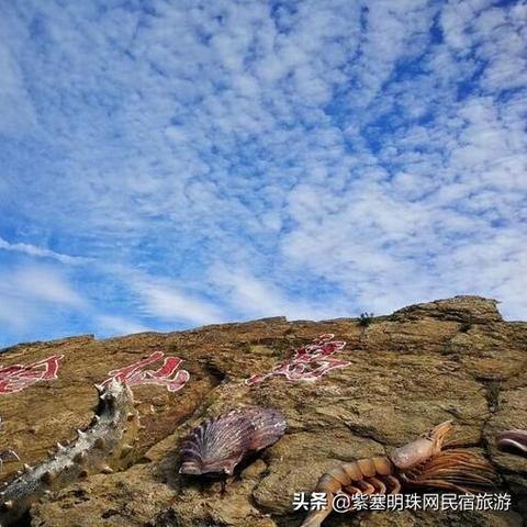 大连市有什么养殖业吗