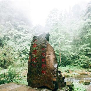 私人导游/私人导游在哪里找