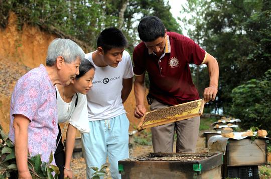 福建省延平区：“酿造”甜蜜的事业---王荣玉科学养蜂走上致富路