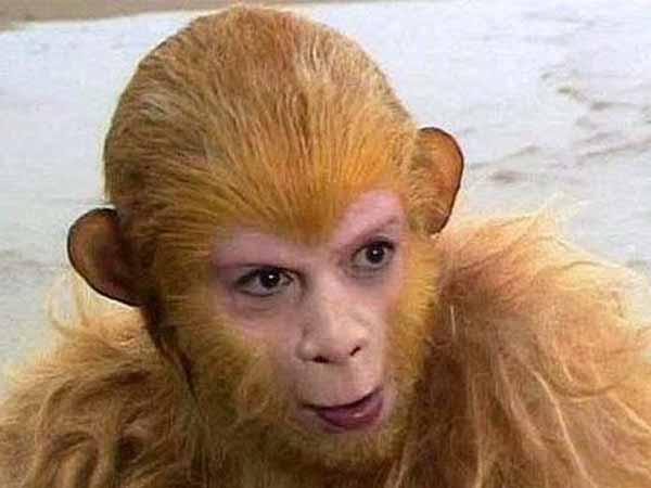 原神怎么调天气下雨（原神免费的话我买塞尔达吃亏吗）