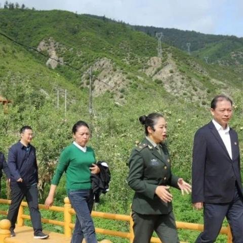 天津车牌号津B是哪个区