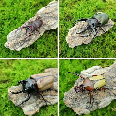 温州市哪里买帐篷好用点