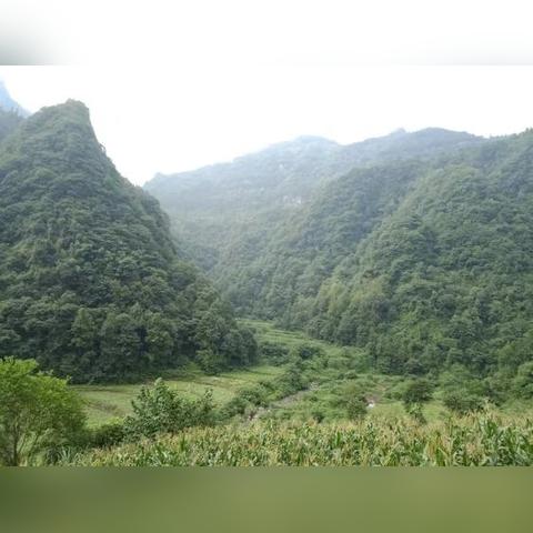 波将军桂林米粉加盟费相关长尾关键词有哪些