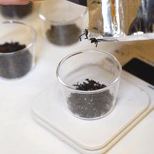 长沙奶茶相关长尾关键词有哪些