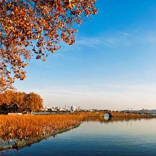 武汉光谷植物园的长尾关键词有哪些