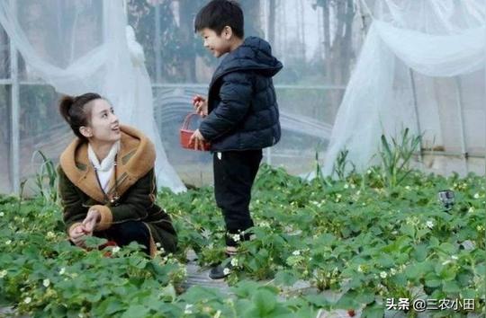 一个农村创业新项目，投资少、见效快，非常适合创业农民去开发