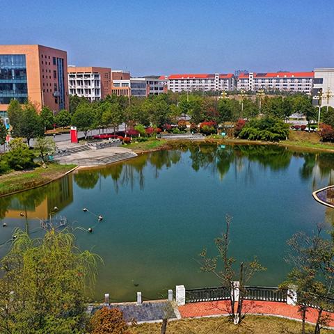 长沙有哪些实力大的美术培训学校？