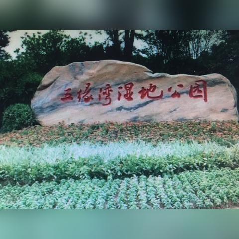 厦门市区哪个公园好玩