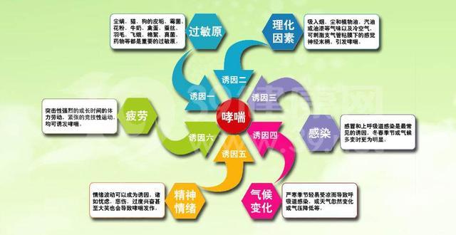 引起小儿哮喘的原因有哪些