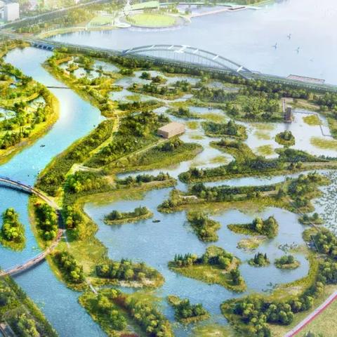 杭州市滨海属于哪个区县