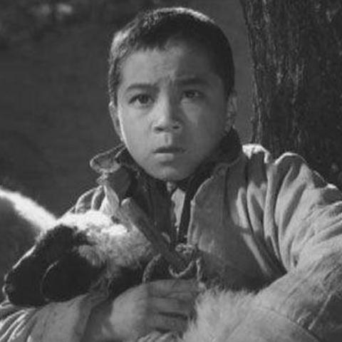 保定市哪里有可以打工的