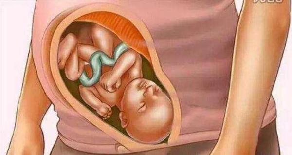 孕妈妈怎么吃有利于胎宝宝发育