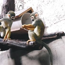 沈阳市哪个区有动物园