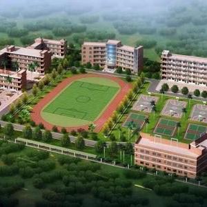 东莞市的特色文化有哪些