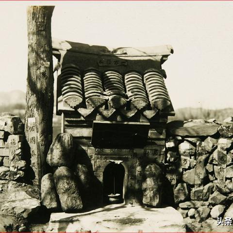 大连市金州区属于什么区