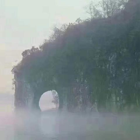 桂林市哪里有狗市场卖