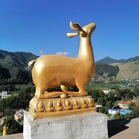兰州最大的寺庙在什么地方？