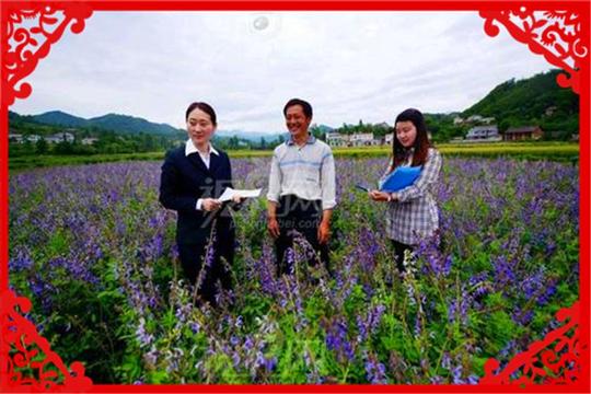目前在农村创业，选择什么项目回本快、赚钱多？推荐几个供参考