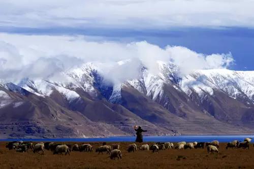 原神湖里面遗迹怎么得（走219国道可以开小排量轿车吗）