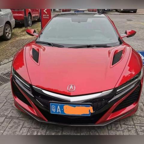 广州市开什么花