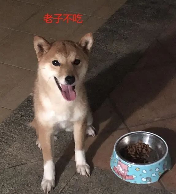 天猫店有假货吗 淘宝天猫有假货吗